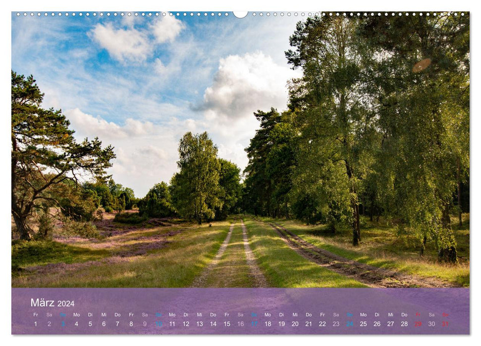 Naturschutzgebiet Lüneburger Heide (CALVENDO Wandkalender 2024)