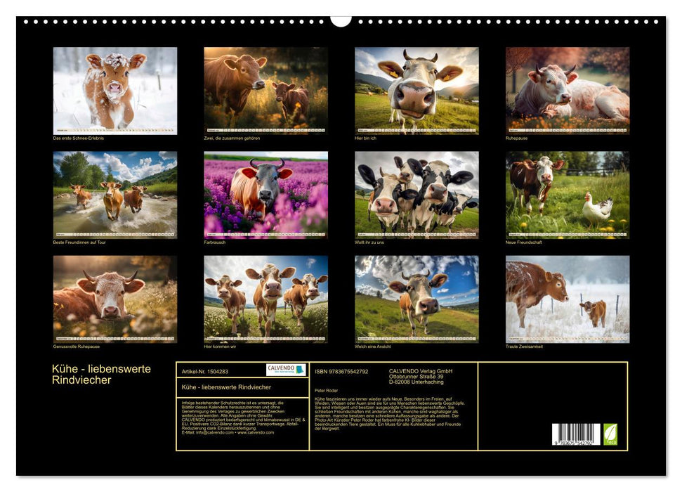 Vaches - adorables bovins (calendrier mural CALVENDO 2024) 