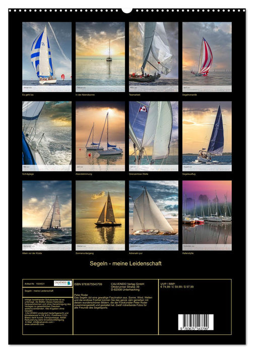 Voile - ma passion (Calendrier mural CALVENDO Premium 2024) 