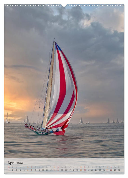 Voile - ma passion (Calendrier mural CALVENDO Premium 2024) 