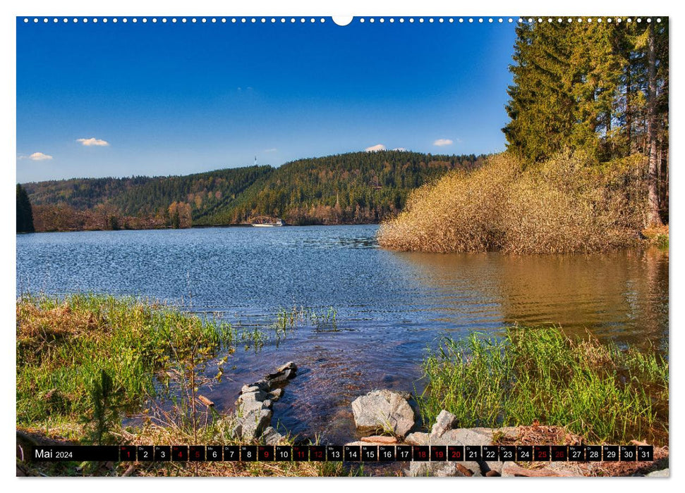 Dans la forêt de Thuringe (calendrier mural CALVENDO 2024) 