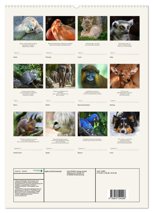 Des choses réfléchies des animaux pour les gens (Calendrier mural CALVENDO Premium 2024) 