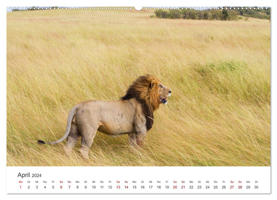 Kenia - Das wundervolle Land in Afrika. (CALVENDO Premium Wandkalender 2024)