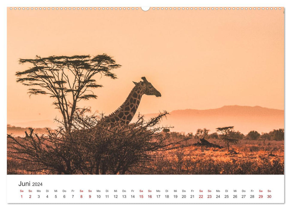 Kenya - Le merveilleux pays d'Afrique. (Calendrier mural CALVENDO Premium 2024) 