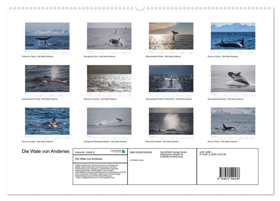 Les baleines d'Andenes (Calendrier mural CALVENDO Premium 2024) 