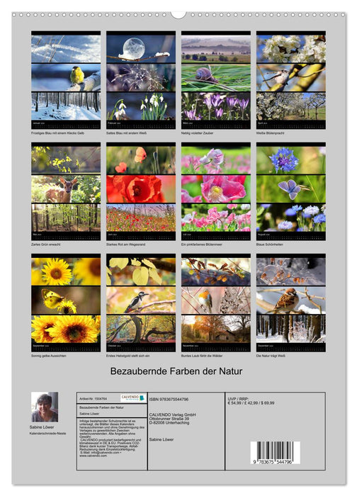 Bezaubernde Farben der Natur (CALVENDO Wandkalender 2024)