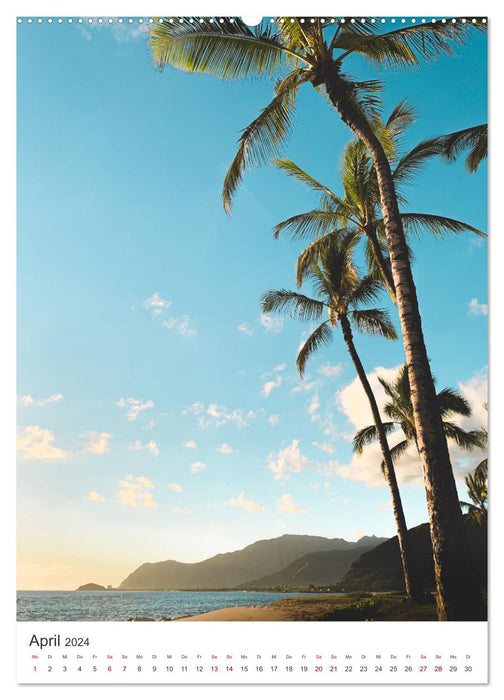 Trauminsel Hawaii (CALVENDO Wandkalender 2024)