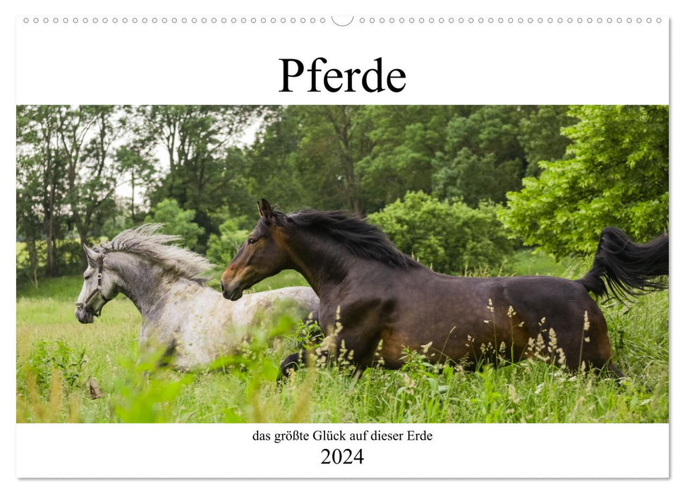 Pferde, das größte Glück auf dieser Erde (CALVENDO Wandkalender 2024)