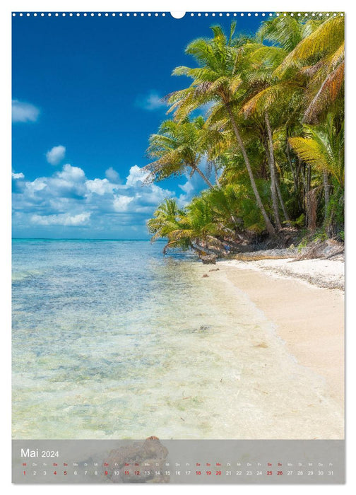 Karibischer Traum Isla Saona (CALVENDO Wandkalender 2024)