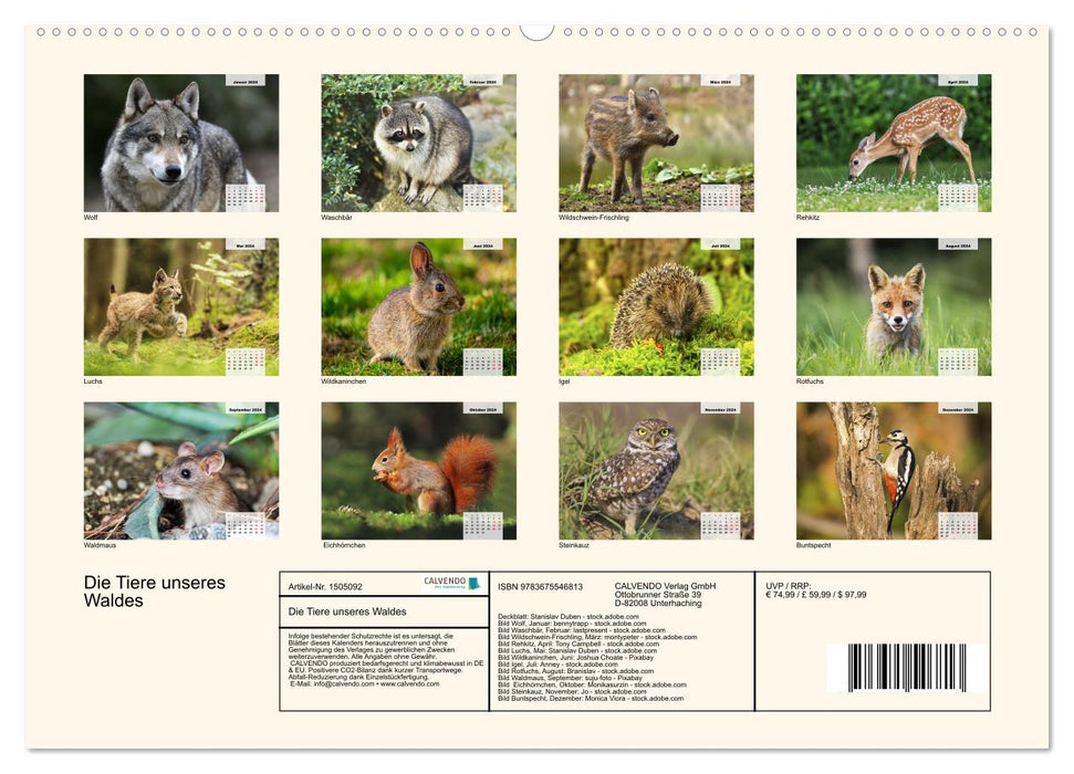 Die Tiere unseres Waldes (CALVENDO Premium Wandkalender 2024)