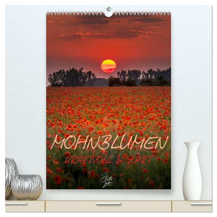 Mohnblumen - kraftvoll und zart (CALVENDO Premium Wandkalender 2024)