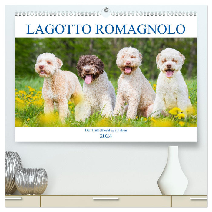 Lagotto Romagnolo - Le chien truffier d'Italie (Calendrier mural CALVENDO Premium 2024) 