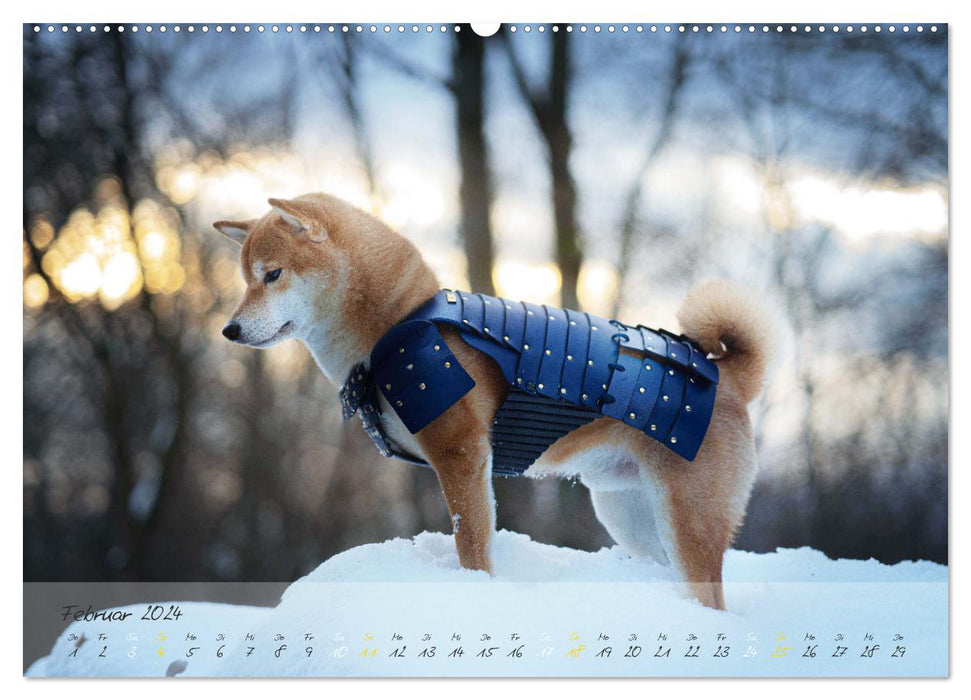 Shiba Inu – courageux, loyal, sûr de lui (Calvendo Premium Wall Calendar 2024) 