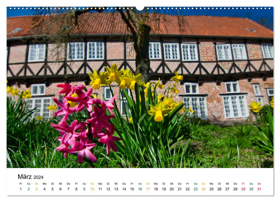 Lüneburg (CALVENDO Premium Wandkalender 2024)
