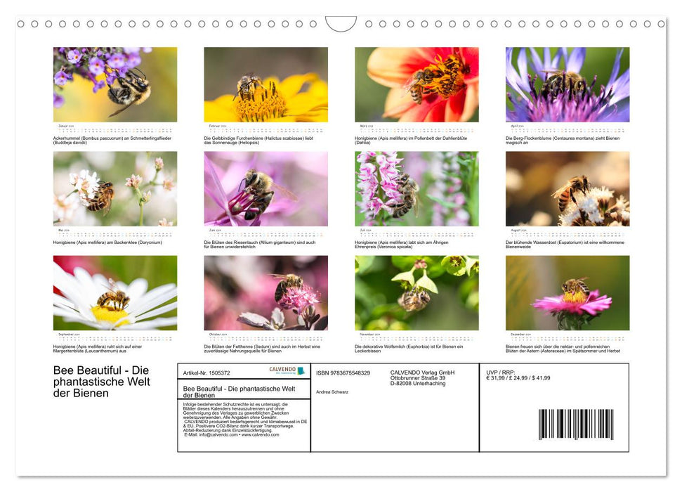 Bee Beautiful - Die phantastische Welt der Bienen (CALVENDO Wandkalender 2024)