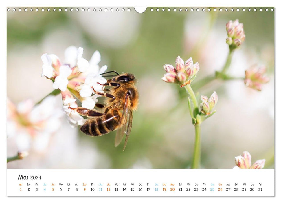 Bee Beautiful - Die phantastische Welt der Bienen (CALVENDO Wandkalender 2024)