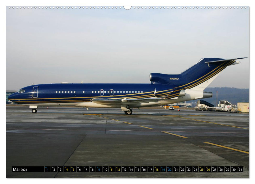 Seltene Verkehrsflugzeuge (CALVENDO Premium Wandkalender 2024)