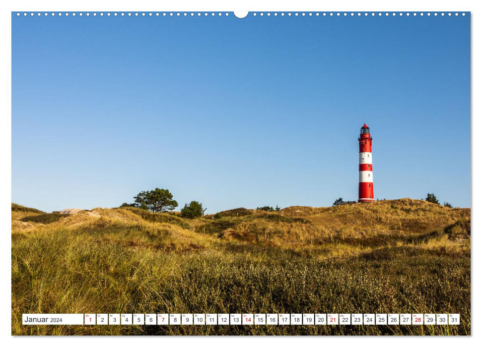Schleswig-Holstein (CALVENDO Premium Wandkalender 2024)