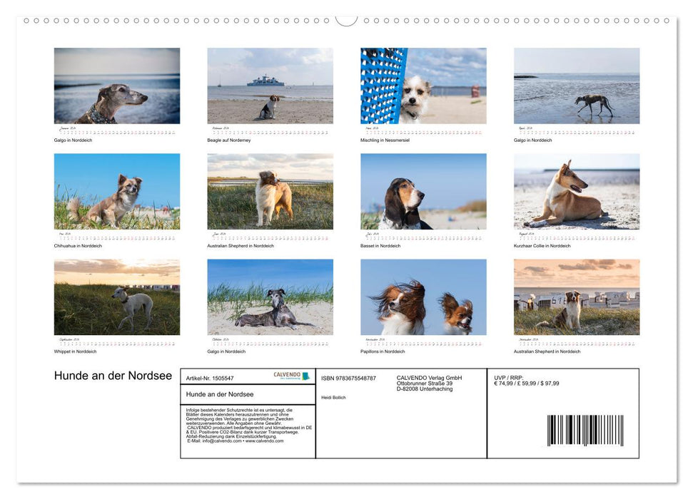 Hunde an der Nordsee (CALVENDO Premium Wandkalender 2024)