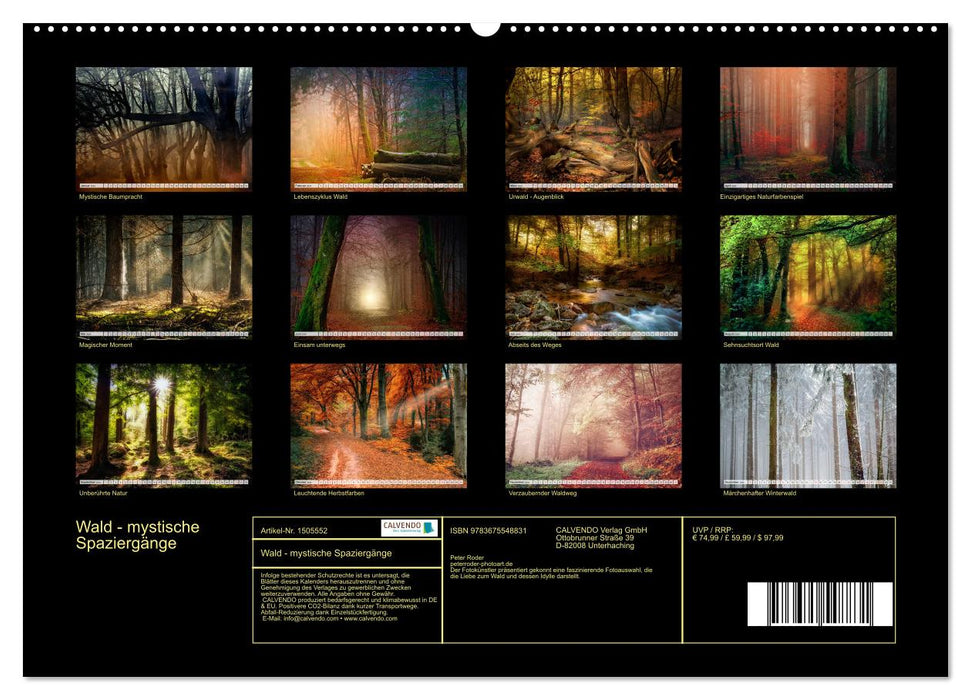 Wald - mystische Spaziergänge (CALVENDO Premium Wandkalender 2024)