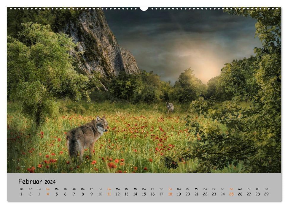 Der lange Weg der Wölfe (CALVENDO Premium Wandkalender 2024)
