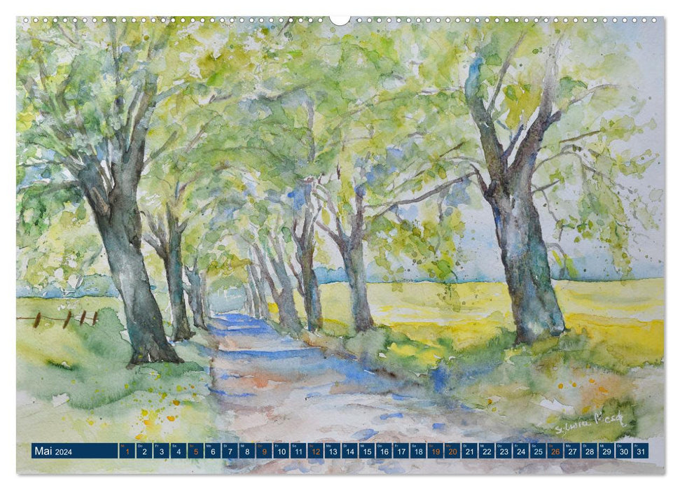 Rügen Impressionen in Aquarell (CALVENDO Wandkalender 2024)