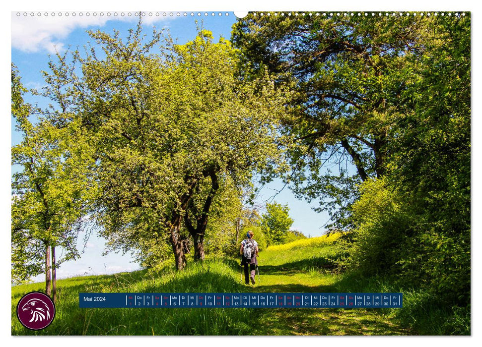 Zu Fuß durch Nordhessen - Unterwegs auf dem Habichtswaldsteig (CALVENDO Wandkalender 2024)