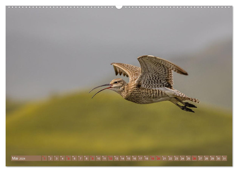 Augenblicke in der Natur (CALVENDO Premium Wandkalender 2024)