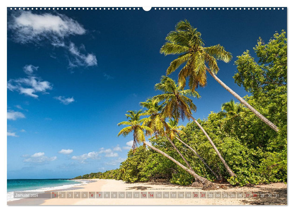 Karibik - Traumstrände (CALVENDO Premium Wandkalender 2024)