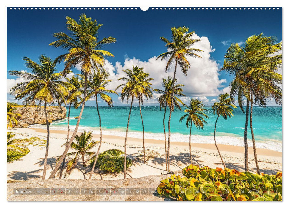 Karibik - Traumstrände (CALVENDO Premium Wandkalender 2024)