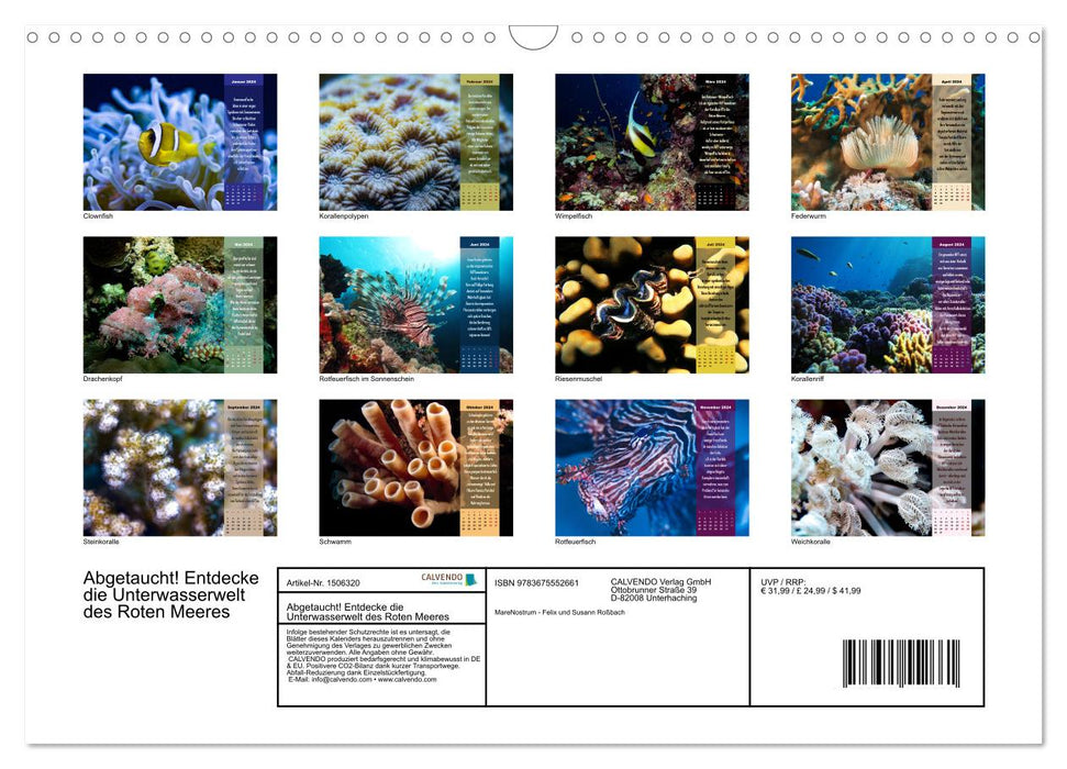 Abgetaucht! Entdecke die Unterwasserwelt des Roten Meeres (CALVENDO Wandkalender 2024)