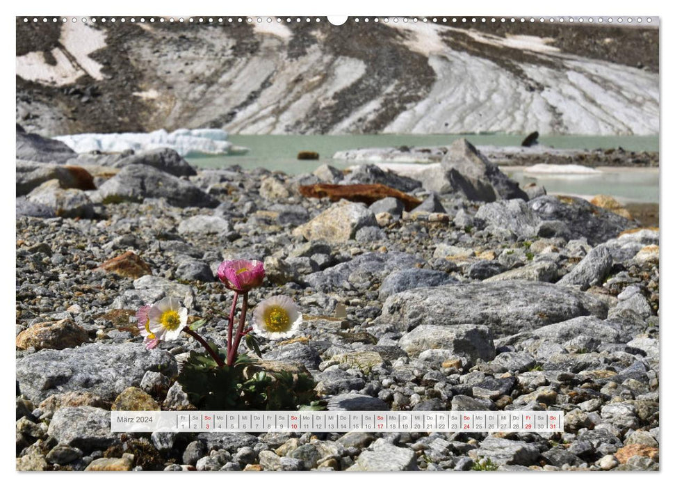 Hoch oben in den Ötztaler Alpen (CALVENDO Premium Wandkalender 2024)
