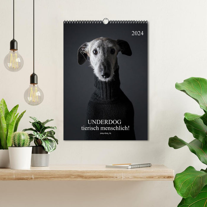 UNDERDOG - Windhundportraits (CALVENDO Wandkalender 2024)