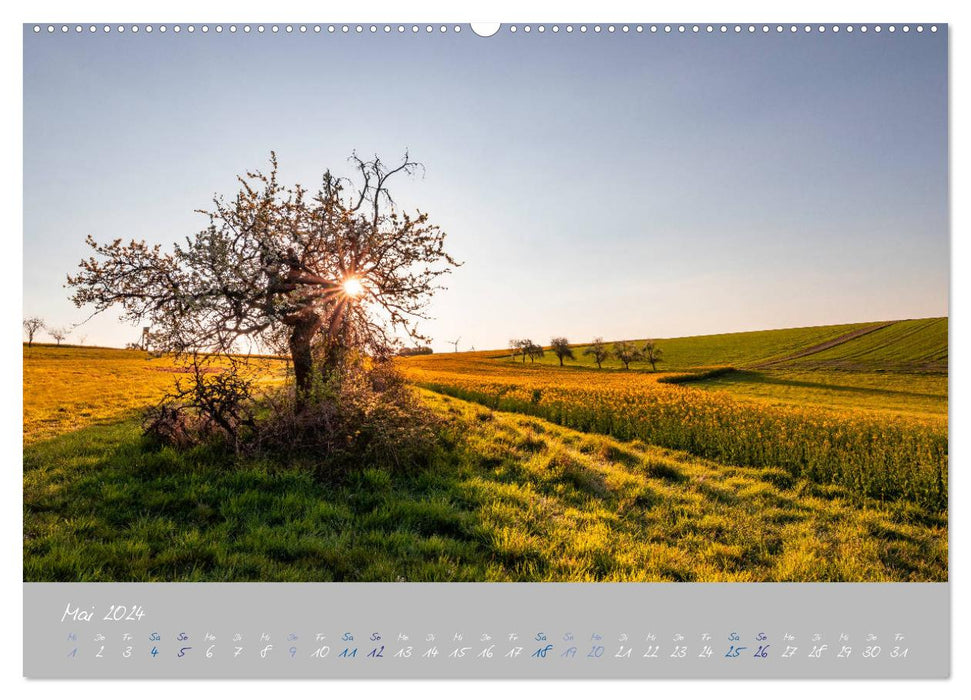 Ausflüge in der Heimat - Die Pfalz (CALVENDO Premium Wandkalender 2024)