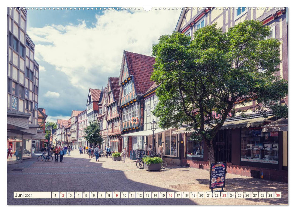 Altstadt Celle (CALVENDO Premium Wandkalender 2024)