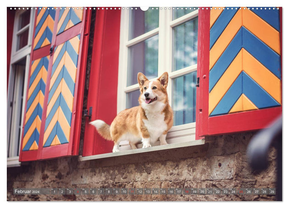 Welsh Corgi - Der Kobold unter den Hunden (CALVENDO Premium Wandkalender 2024)