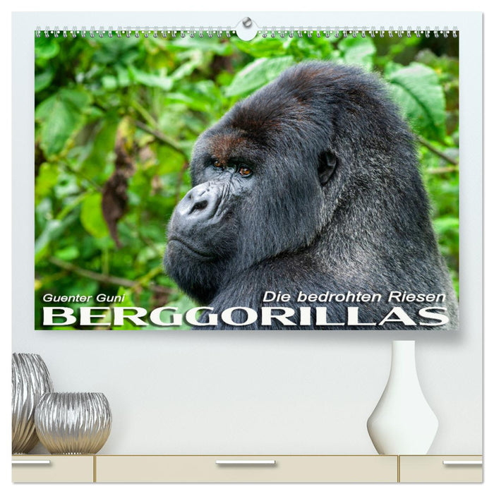 Berggorillas: die bedrohten Riesen (CALVENDO Premium Wandkalender 2024)