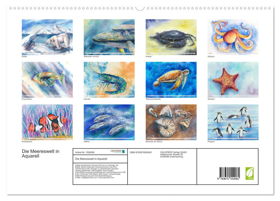 Die Meereswelt in Aquarell (CALVENDO Premium Wandkalender 2024)