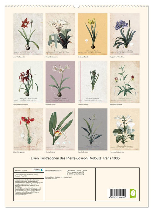 Lilien Illustrationen des Pierre-Joseph Redouté, Paris 1805 (CALVENDO Premium Wandkalender 2024)