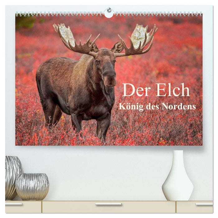 Der Elch - König des Nordens (CALVENDO Premium Wandkalender 2024)