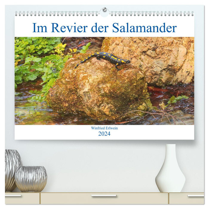 In the territory of the salamanders (CALVENDO Premium Wall Calendar 2024) 