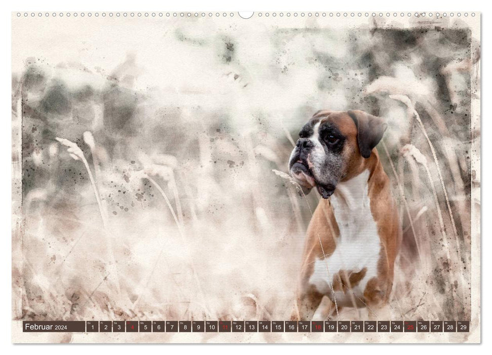 Boxer Photo&Kunst (CALVENDO Premium Wandkalender 2024)