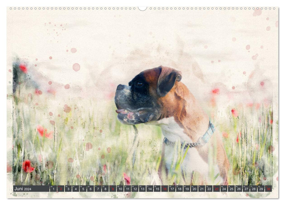 Boxer Photo&Kunst (CALVENDO Premium Wandkalender 2024)