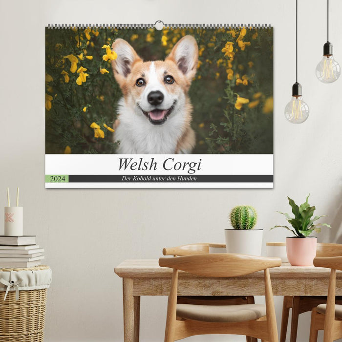 Welsh Corgi - Der Kobold unter den Hunden (CALVENDO Wandkalender 2024)