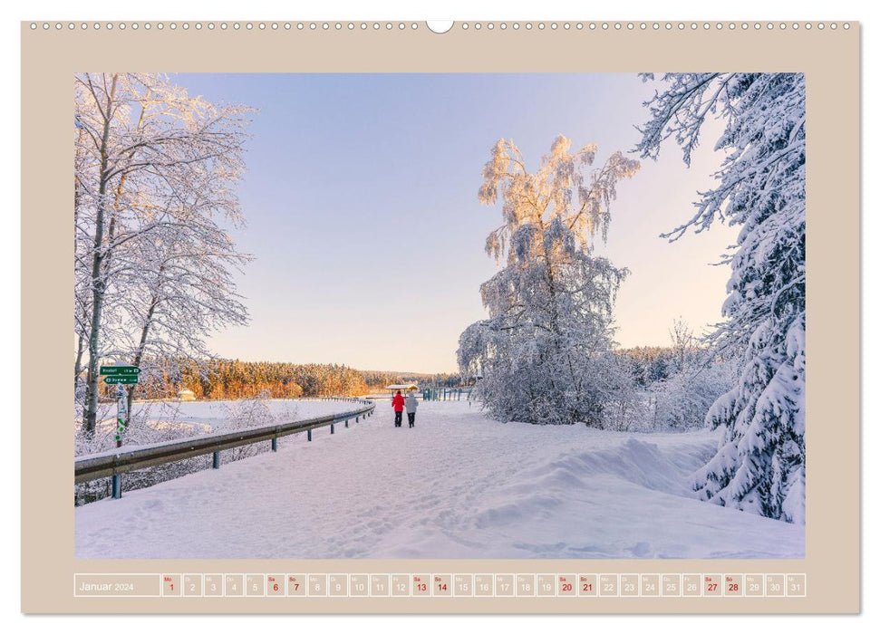 Vogtland - 900 years of Plauen (CALVENDO wall calendar 2024) 