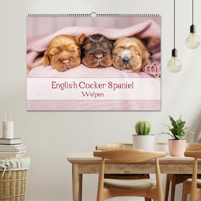 English Cocker Spaniel puppies (CALVENDO wall calendar 2024) 