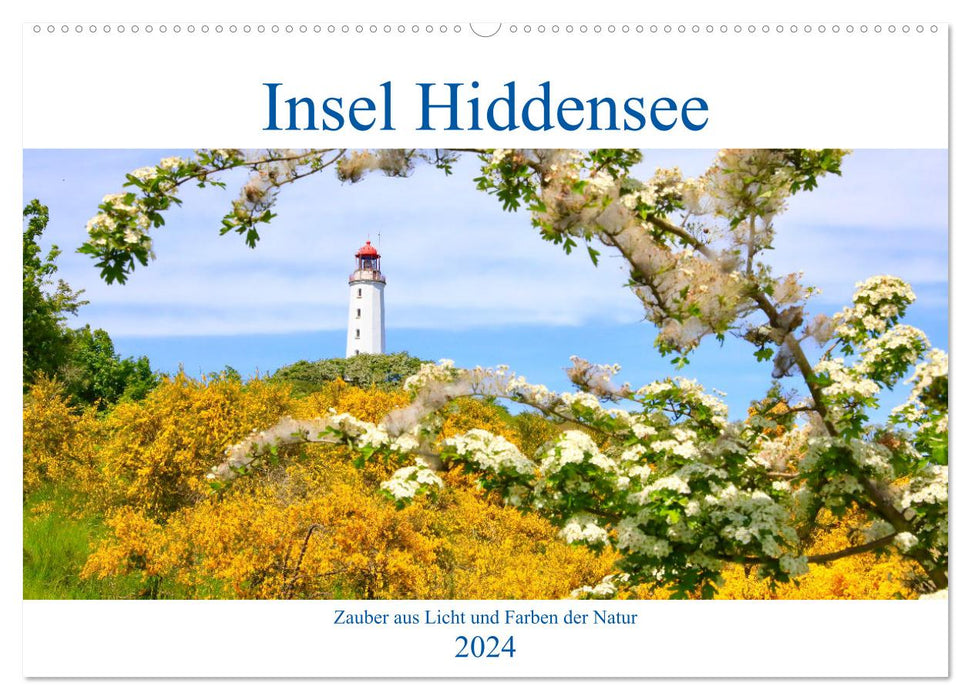 Hiddensee mon amour (CALVENDO wall calendar 2024) 