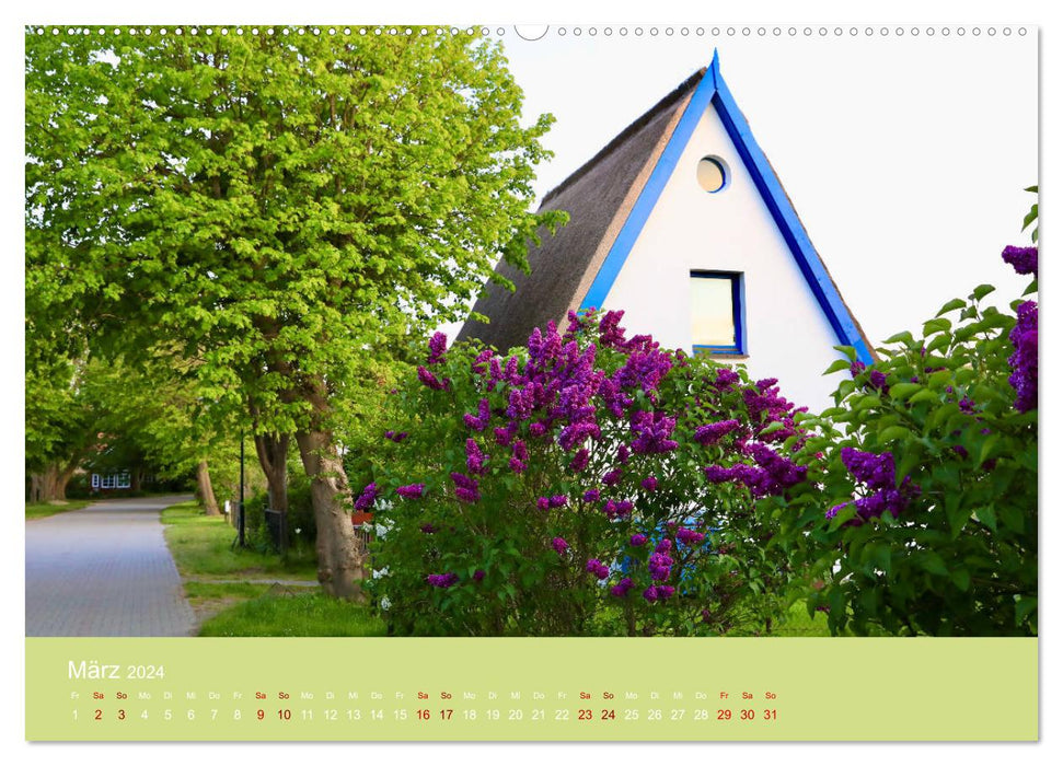 Hiddensee mon amour (CALVENDO Wandkalender 2024)