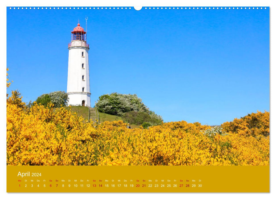 Hiddensee mon amour (CALVENDO Wandkalender 2024)