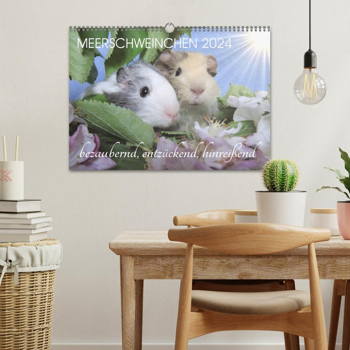 Meerschweinchen 2024 - bezaubernd, hinreißend, entzückend (CALVENDO Wandkalender 2024)